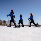 Arctic snowshoe walk from Apukka 